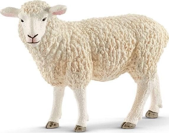 avis lieknėjimo kamuolys kūnas lieknas nedir