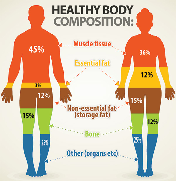 sudeginti daugiau kūno riebalų geriausi sveikatingumo ir svorio netekimo spa centrai