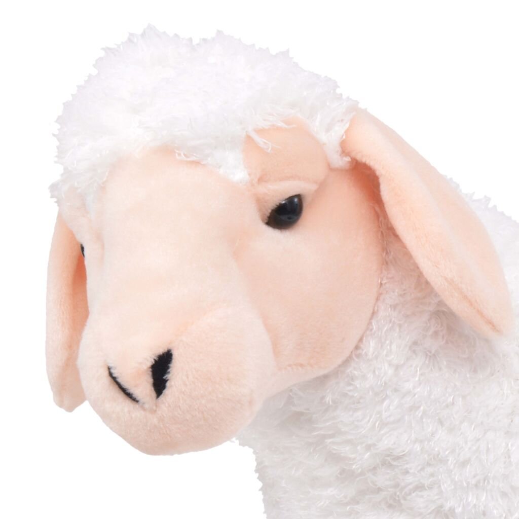 avis lieknėjimo kamuolys geriausias būdas numesti pilvo riebalus po 50