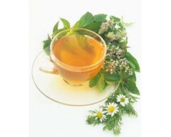 vaistažolių arbatos naudingos lieknėjimui geriausi svorio metimo dvd atsiliepimai